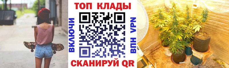 Как найти наркотики Бабушкин Альфа ПВП  Бутират  COCAIN  ГАШИШ  Галлюциногенные грибы 