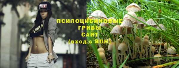 первитин Алексеевка