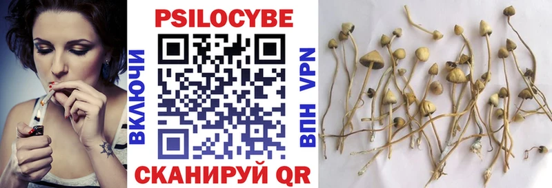 Галлюциногенные грибы Cubensis  Бабушкин 